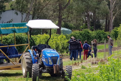 Day Tour Of Yarra Valley Puffing Billy And Rayners Orchard - ACT Tourism 10