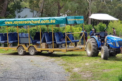 Day Tour Of Yarra Valley Puffing Billy And Rayners Orchard - ACT Tourism 48