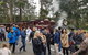 Day Tour Of Yarra Valley Puffing Billy And Rayners Orchard - thumb 18