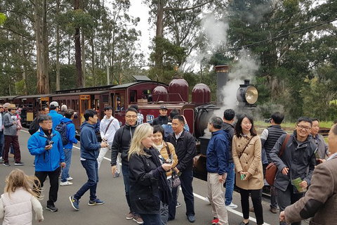 Day Tour Of Yarra Valley Puffing Billy And Rayners Orchard - ACT Tourism 18