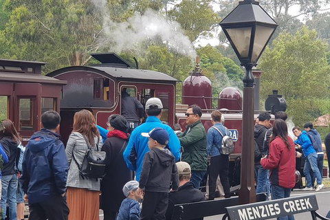 Day Tour Of Yarra Valley Puffing Billy And Rayners Orchard - ACT Tourism 40