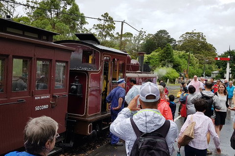 Day Tour Of Yarra Valley Puffing Billy And Rayners Orchard - ACT Tourism 23