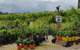 Day Tour Of Yarra Valley Puffing Billy And Rayners Orchard - thumb 46