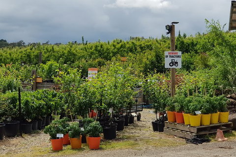 Day Tour Of Yarra Valley Puffing Billy And Rayners Orchard - ACT Tourism 46