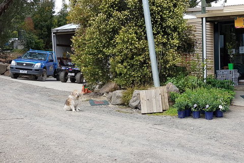 Day Tour Of Yarra Valley Puffing Billy And Rayners Orchard - ACT Tourism 6