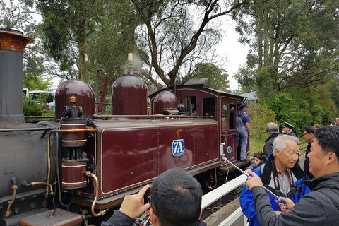 Day Tour Of Yarra Valley Puffing Billy And Rayners Orchard - ACT Tourism 28