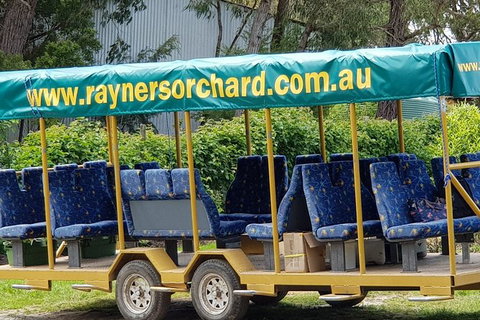 Day Tour Of Yarra Valley Puffing Billy And Rayners Orchard - ACT Tourism 33
