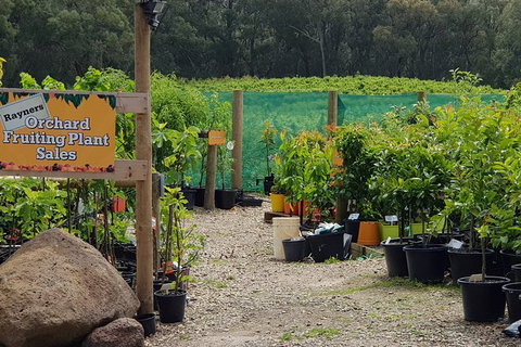 Day Tour Of Yarra Valley Puffing Billy And Rayners Orchard - ACT Tourism 22