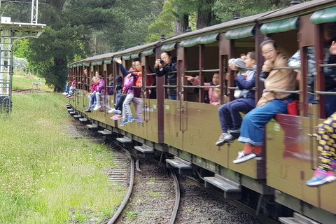 Day Tour Of Yarra Valley Puffing Billy And Rayners Orchard - ACT Tourism 13