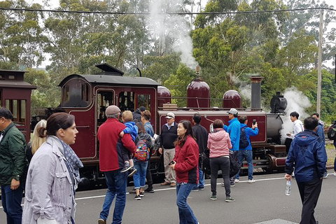 Day Tour Of Yarra Valley Puffing Billy And Rayners Orchard - ACT Tourism 4