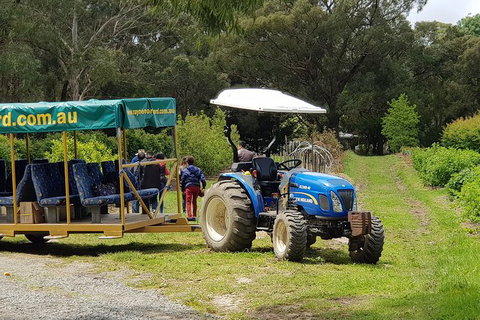 Day Tour Of Yarra Valley Puffing Billy And Rayners Orchard - ACT Tourism 25