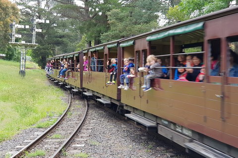 Day Tour Of Yarra Valley Puffing Billy And Rayners Orchard - ACT Tourism 24