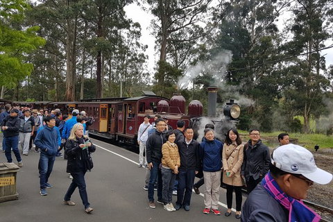 Day Tour Of Yarra Valley Puffing Billy And Rayners Orchard - ACT Tourism 9