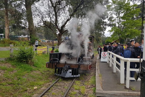 Day Tour Of Yarra Valley Puffing Billy And Rayners Orchard - ACT Tourism 43