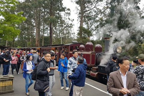 Day Tour Of Yarra Valley Puffing Billy And Rayners Orchard - ACT Tourism 12