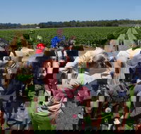 Margaret River Tour The Full Bottle - ACT Tourism