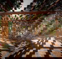 Hidden Secrets  Araluen Guided Hike - ACT Tourism