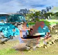 Half Day VW Kombi Food and Wine tour - ACT Tourism