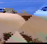 Half-Day Pemberton National Parks Beach and Forest Eco Adventure - ACT Tourism