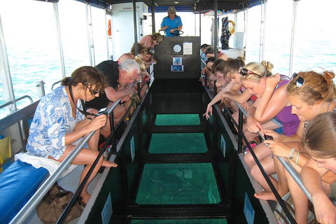 Coral Bay 1-Hour Coral Viewing - ACT Tourism 3