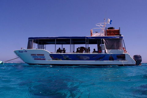 Coral Bay 1-Hour Coral Viewing - ACT Tourism 1