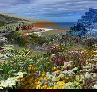 Guided Walks on the Cape to Cape - Moses Rock to Ellenbrook - ACT Tourism