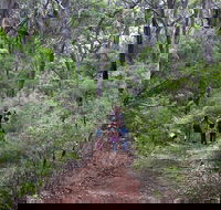 Guided Walks on the Cape to Cape - Skippy Rock - ACT Tourism