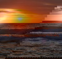 Australian animals Seascape and Sunset Photography Tour - ACT Tourism