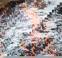 Bells Rapids Guided Hike - ACT Tourism