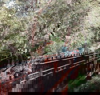 Sixty Foot Falls Guided Hike - ACT Tourism