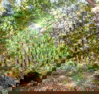 Kitty's Gorge Guided Hike - ACT Tourism