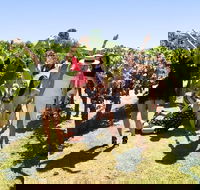 Wine Beer  Chocolate Tour - ACT Tourism