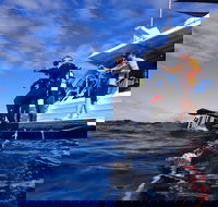 Become a PADI Open Water Diver in 3 Days in Perth - ACT Tourism