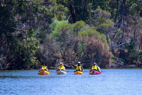 Private Guided River Kayak Tour - ACT Tourism 6