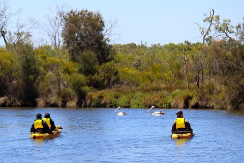Private Guided River Kayak Tour - ACT Tourism 4