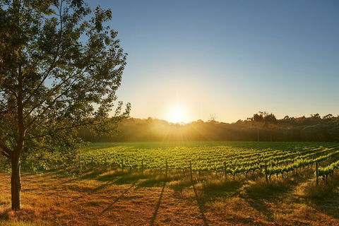 Private Barrel Hall Wine Tasting In The Margaret River Region - ACT Tourism 3