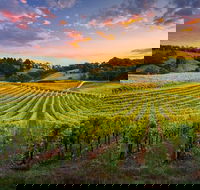 Swan Valley Sunset Wine Tour - Premium Small Group Tour - ACT Tourism