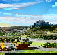 Bickley Valley Wine  Cider Tour - Premium Small Group Tour - ACT Tourism