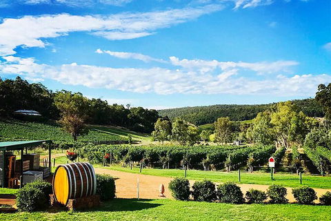 Bickley Valley Wine & Cider Tour - Premium Small Group Tour - ACT Tourism 0