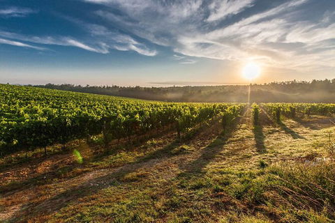 Perth To Margaret River Wine Tour - 2 Day Premium Boutique Wine Tour Experience - ACT Tourism 0