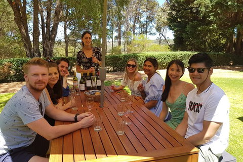 Full-Day Gourmet Wine Tour With Pick Up And Lunch - ACT Tourism 5