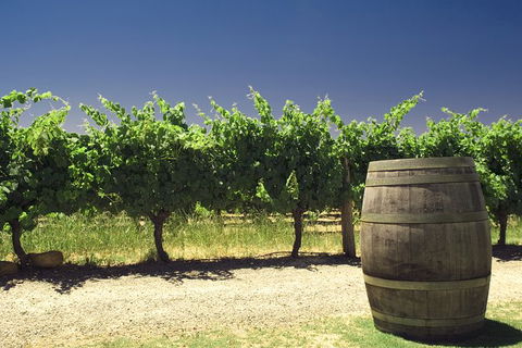 Pinnacles Desert Private Tour - ACT Tourism 4