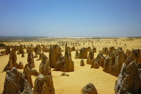 Pinnacles Desert Private Tour - ACT Tourism 5