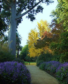Bungowannah NSW ACT Tourism