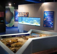 Marine and Freshwater Discovery Centre - ACT Tourism