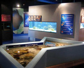 Marine And Freshwater Discovery Centre - ACT Tourism 0