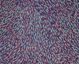 Aberdare NSW ACT Tourism