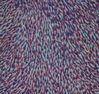 The Gate Gallery - Wollombi - ACT Tourism