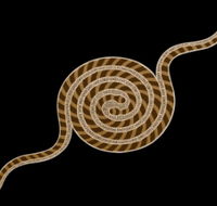 Original  Authentic Aboriginal Art - ACT Tourism