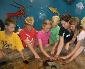 Naturaliste Marine Discovery Centre - ACT Tourism 0